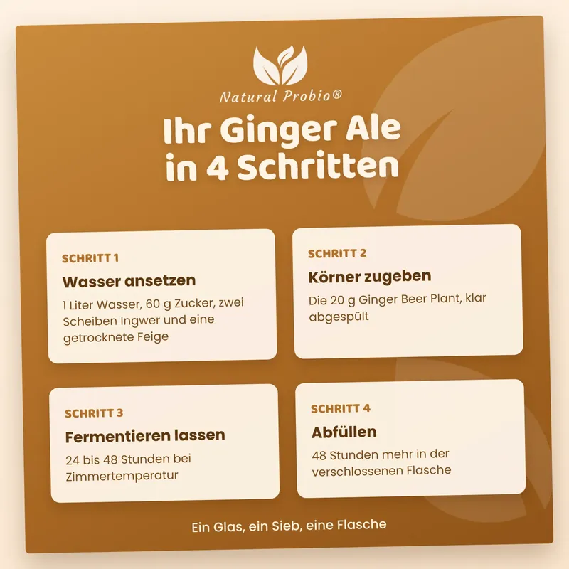 Ginger Ale selbst gemacht in 4 Schritten