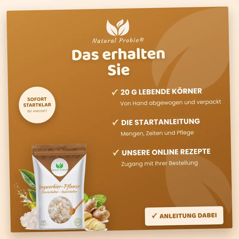 Das bekommst du: 20 g lebende Körner, Anleitung und Rezepte