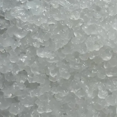Durchscheinende Wasserkefir-Kristalle aus der Nähe